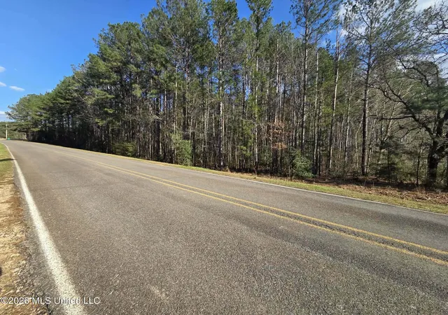 Homes for sale in Brookhaven, MS | Ne Fair River Dr, Brookhaven, MS 39601 | MLS# 4141136