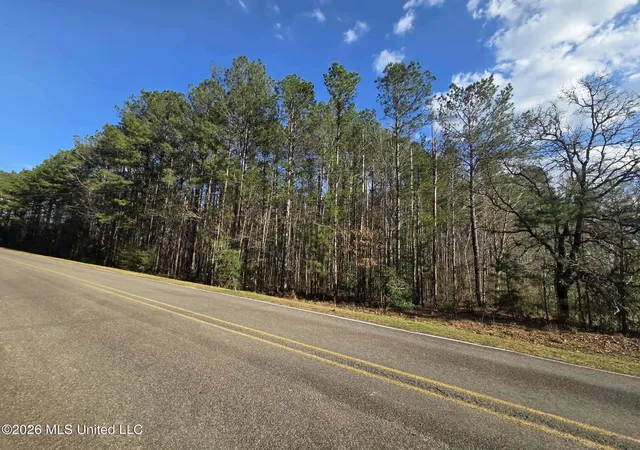 Homes for sale in Brookhaven, MS | Ne Fair River Dr, Brookhaven, MS 39601 | MLS# 4141136
