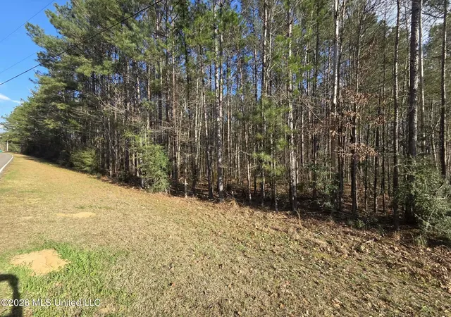 Homes for sale in Brookhaven, MS | Ne Fair River Dr, Brookhaven, MS 39601 | MLS# 4141136