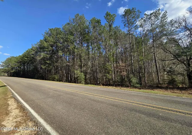 Homes for sale in Brookhaven, MS | Ne Fair River Dr, Brookhaven, MS 39601 | MLS# 4141136