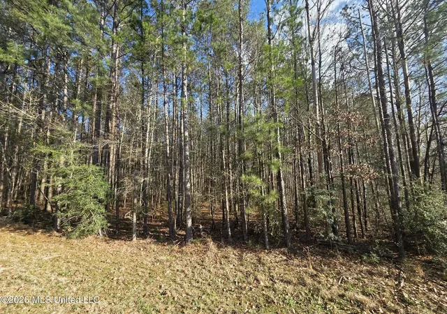 Homes for sale in Brookhaven, MS | Ne Fair River Dr, Brookhaven, MS 39601 | MLS# 4141136