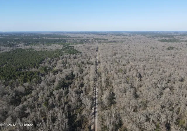 Homes for sale in Bogue Chitto, MS | Bogue Chitto Rd, Bogue Chitto, MS 39629 | MLS# 4141170