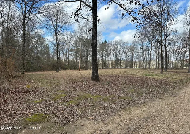 Homes for sale in Florence, MS | Barnes Rd, Florence, MS 39073 | MLS# 4141142