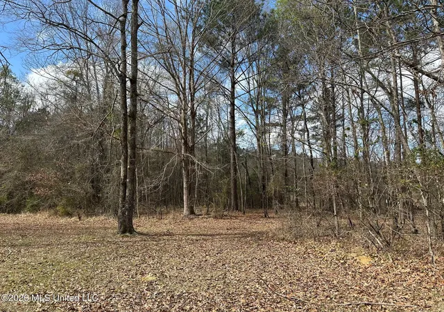 Homes for sale in Florence, MS | Barnes Rd, Florence, MS 39073 | MLS# 4141142