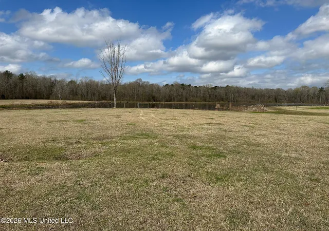 Homes for sale in Florence, MS | Barnes Rd, Florence, MS 39073 | MLS# 4141142