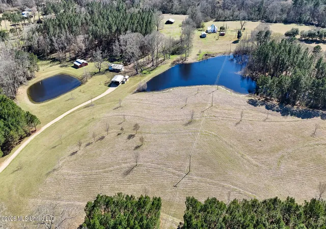 Homes for sale in Liberty, MS | 5192 Bean Rd, Liberty, MS 39645 | MLS# 4141264