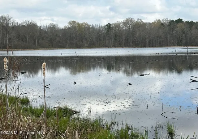 Land for sale at 23 Acres Barnes Rd, Florence, MS 39073 | MLS# 4141143