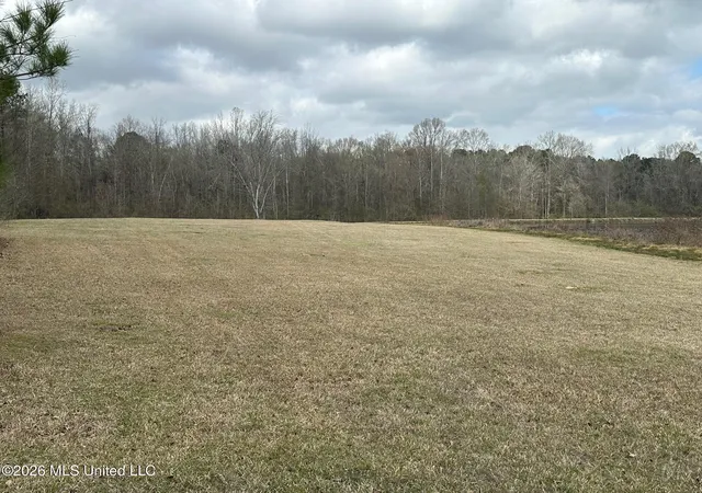 Photo 1 of Land for sale at 23 Acres Barnes Rd, Florence, MS 39073 | MLS# 4141143 | Listing updated on 2026-09-15