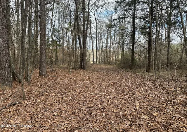 Photo 3 of Land for sale at 23 Acres Barnes Rd, Florence, MS 39073 | MLS# 4141143 | Listing updated on 2026-09-15