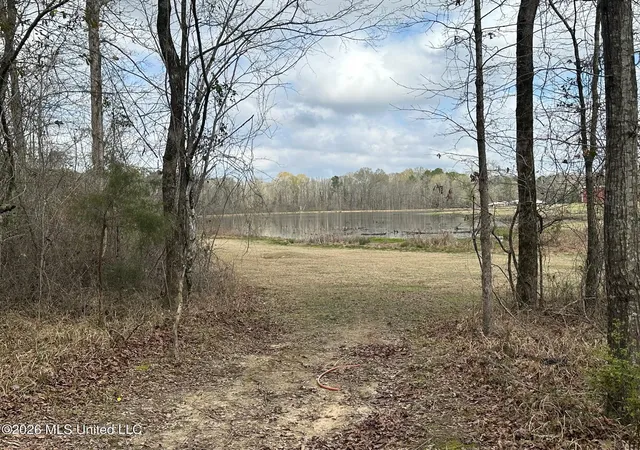 Photo 4 of Land for sale at 23 Acres Barnes Rd, Florence, MS 39073 | MLS# 4141143 | Listing updated on 2026-09-15