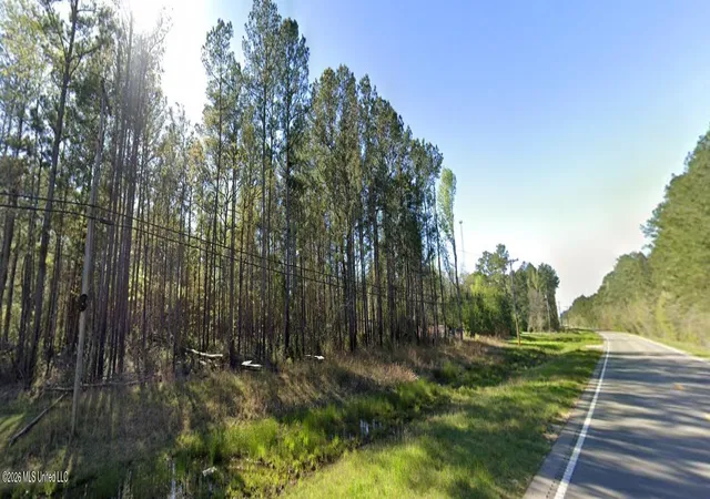 Homes for sale in Foxworth, MS | Hwy 35, Foxworth, MS 39483 | MLS# 4141361