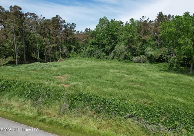 Photo 2 of Land for sale at 0 Old 4 Hwy, Holly Springs, MS 38635 | MLS# 4141369 | Listing updated on 2026-07-15