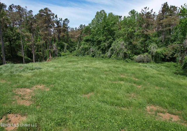 Photo 3 of Land for sale at 0 Old 4 Hwy, Holly Springs, MS 38635 | MLS# 4141369 | Listing updated on 2026-07-15