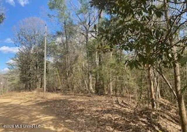 1st image of Turkey Creek Rd, Natchez, MS 39120 | MLS# 4141436