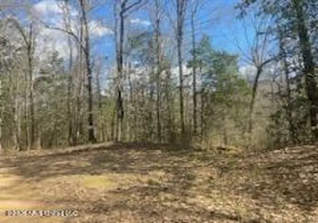 24th image of Turkey Creek Rd, Natchez, MS 39120 | MLS# 4141436