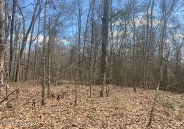 2nd image of Turkey Creek Rd, Natchez, MS 39120 | MLS# 4141436