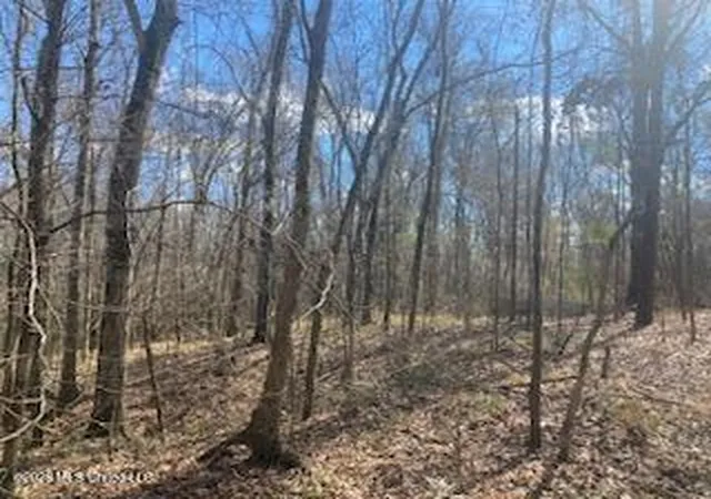 3rd image of Turkey Creek Rd, Natchez, MS 39120 | MLS# 4141436