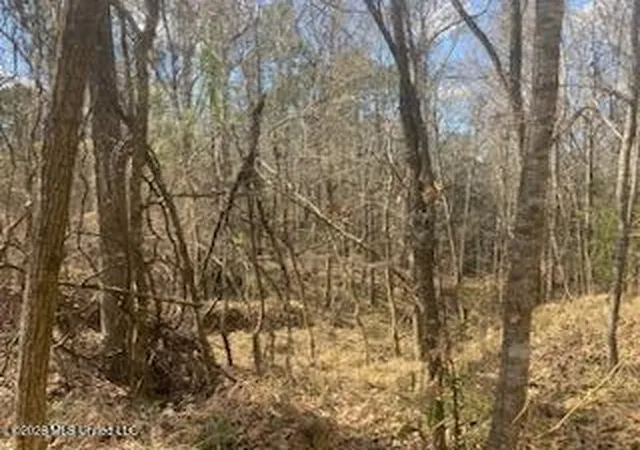4th image of Turkey Creek Rd, Natchez, MS 39120 | MLS# 4141436
