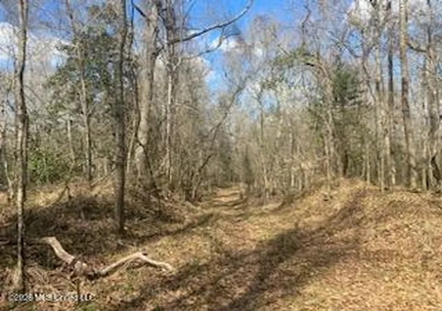 5th image of Turkey Creek Rd, Natchez, MS 39120 | MLS# 4141436