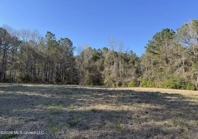 Photo 1 of Land for sale at 29 Sontag Nola Rd, Sontag, MS 39665 | MLS# 4141532 | Listing updated on 2026-08-31