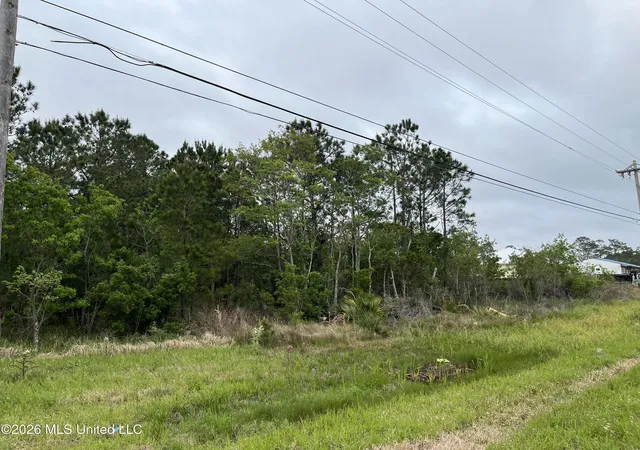 Photo 3 of Land for sale at Lot N 4 Highway 603, Bay Saint Louis, MS 39520 | MLS# 4141626 | Listing updated on 2026-03-31