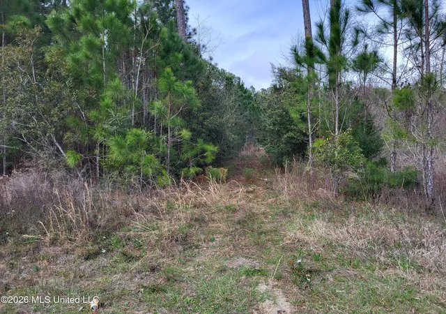 Photo 3 of Land for sale at 0 Jones Rd, Pass Christian, MS 39571 | MLS# 4141813 | Listing updated on 2026-06-05