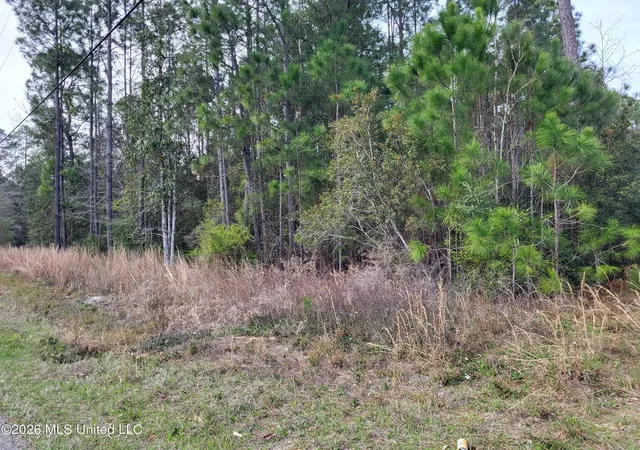 Photo 3 of Land for sale at 0 Jones Rd, Pass Christian, MS 39571 | MLS# 4141813 | Listing updated on 2026-06-05