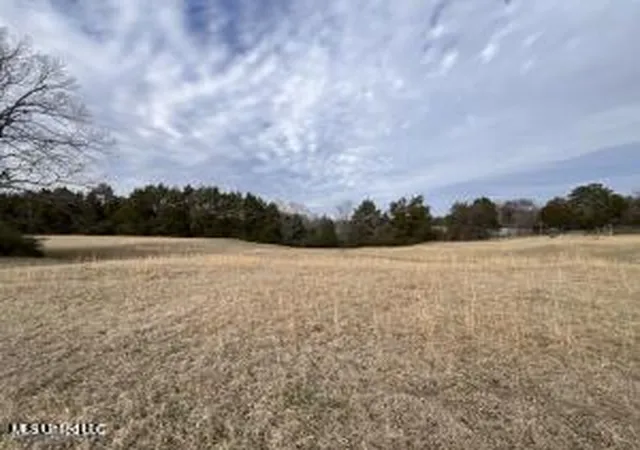 Homes for sale in Batesville, MS | 1477 Ms-6, Batesville, MS 38606 | MLS# 4141862
