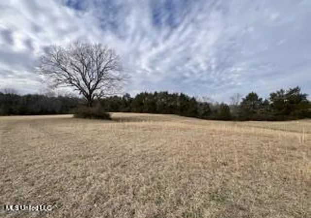 Homes for sale in Batesville, MS | 1477 Ms-6, Batesville, MS 38606 | MLS# 4141862