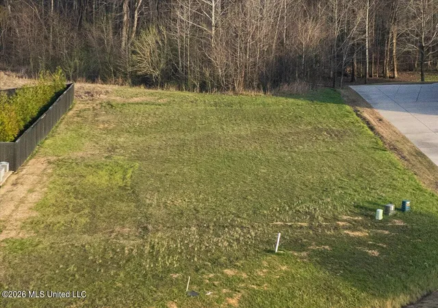 5th image of 179 Hayes Cvs, Olive Branch, MS 38654 | MLS# 4142970