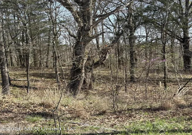 Photo 1 of Land for sale at 0 Nolan Rd, Olive Branch, MS 38654 | MLS# 4142421 | Listing updated on 2026-09-10