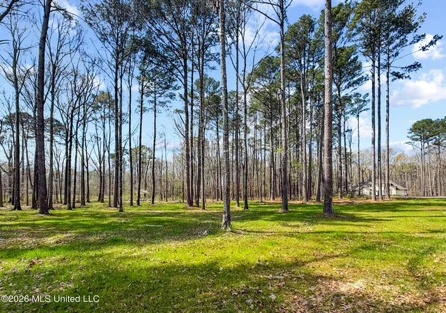 Photo 2 of Land for sale at Brookhollow Lot 6 Ct, Flowood, MS 39232 | MLS# 4143702 | Listing updated on 2026-03-27