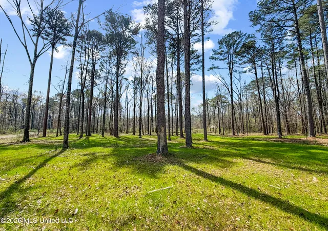 Photo 2 of Land for sale at Brookhollow Lot 6 Ct, Flowood, MS 39232 | MLS# 4143702 | Listing updated on 2026-03-27