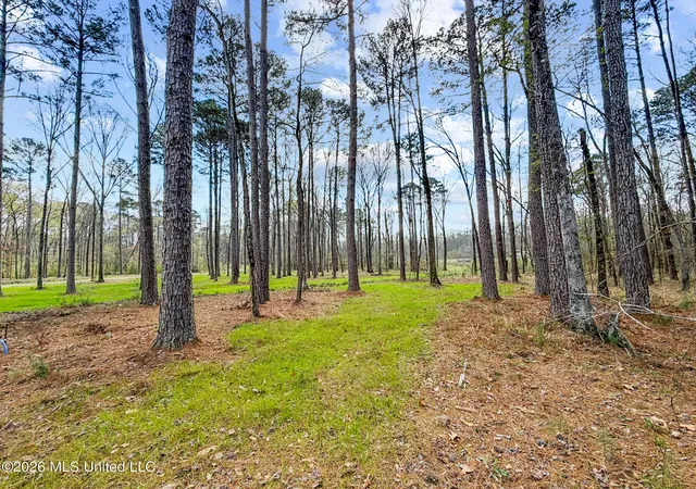 Photo 3 of Land for sale at Brookhollow Lot 6 Ct, Flowood, MS 39232 | MLS# 4143702 | Listing updated on 2026-03-27