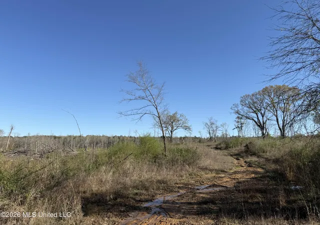 Homes for sale in Pickens, MS | 385 Vanarsdale Rd, Pickens, MS 39146 | MLS# 4142349