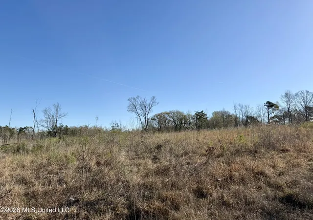 Homes for sale in Pickens, MS | 385 Vanarsdale Rd, Pickens, MS 39146 | MLS# 4142349