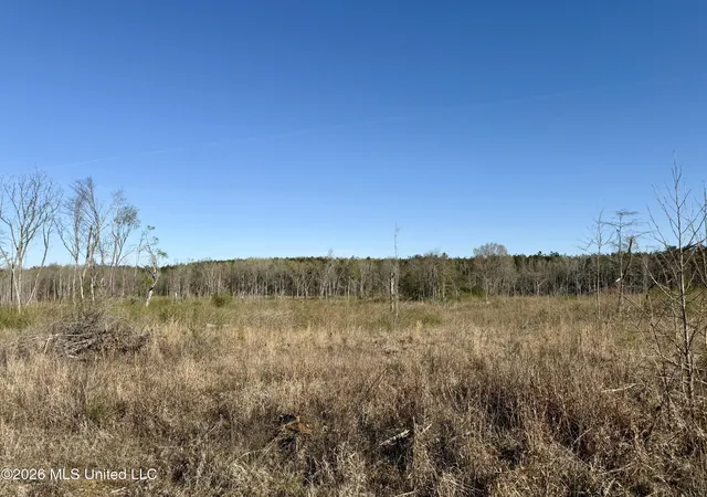 Homes for sale in Pickens, MS | 385 Vanarsdale Rd, Pickens, MS 39146 | MLS# 4142349