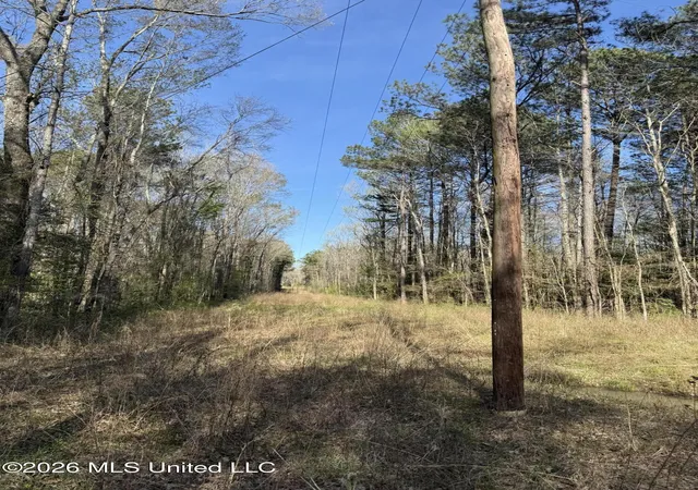 Homes for sale in Lena, MS | 0 Ms-13, Lena, MS 39094 | MLS# 4143072