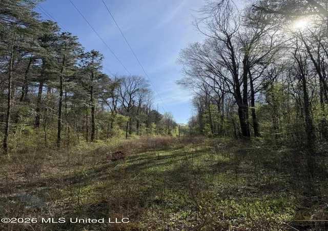 Homes for sale in Lena, MS | 0 Ms-13, Lena, MS 39094 | MLS# 4143072