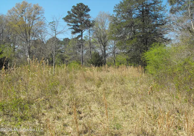 Homes for sale in Florence, MS | 000 Berry Dr, Florence, MS 39073 | MLS# 4143355