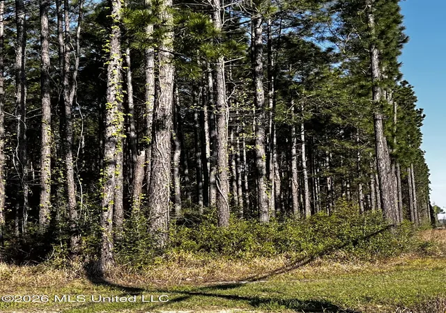 Photo 3 of Land for sale at 00 Gavin Hamilton Rd, Moss Point, MS 39562 | MLS# 4143374 | Listing updated on 2026-08-22