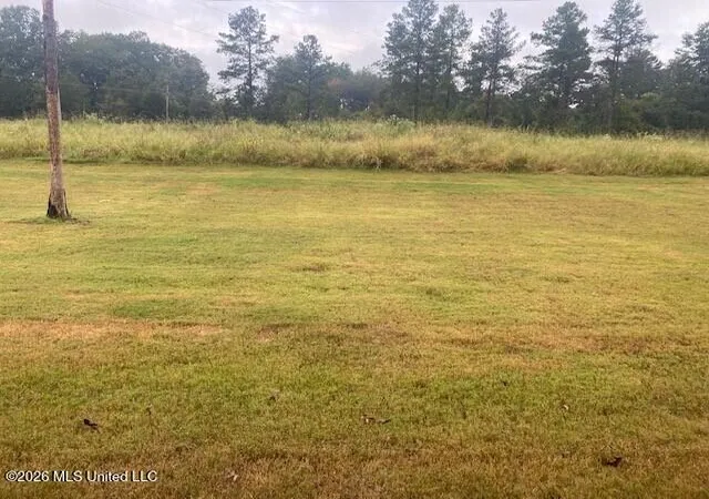 36th image of 118 Grayson Wy, Madison, MS 39110 | MLS# 4142936