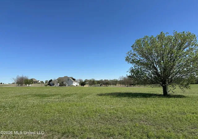 1st image of 0 Hannahlea Pl, Flora, MS 39071 | MLS# 4142832