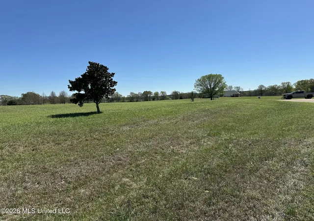 2nd image of 0 Hannahlea Pl, Flora, MS 39071 | MLS# 4142832