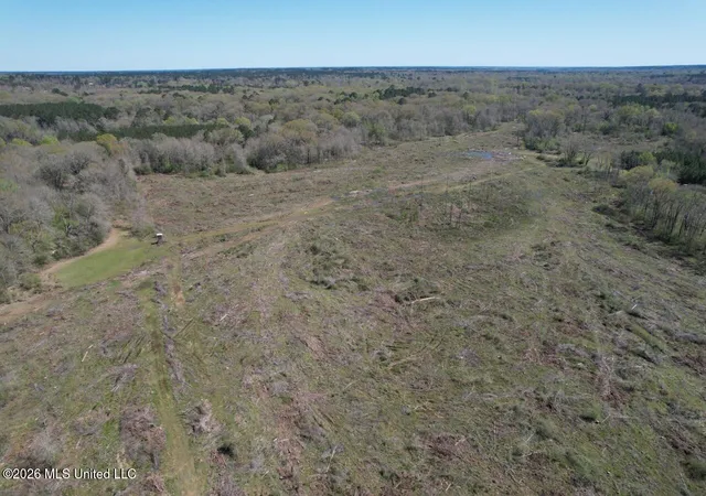 Homes for sale in Centreville, MS | 1009 Chance Rd, Centreville, MS 39631 | MLS# 4142896