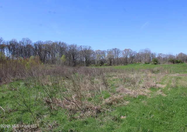 10th image of 12 Barton Desoto Rd, Olive Branch, MS 38654 | MLS# 4142979