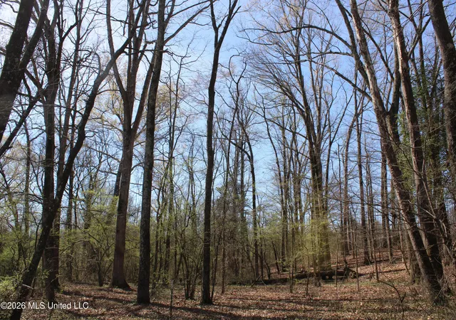 2nd image of 12 Barton Desoto Rd, Olive Branch, MS 38654 | MLS# 4142979