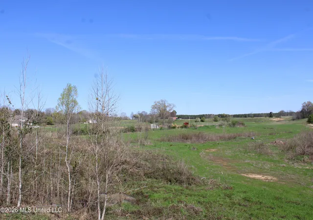 Photo 3 of Land for sale at 12 Barton Desoto Rd, Olive Branch, MS 38654 | MLS# 4142979 | Listing updated on 2026-09-02