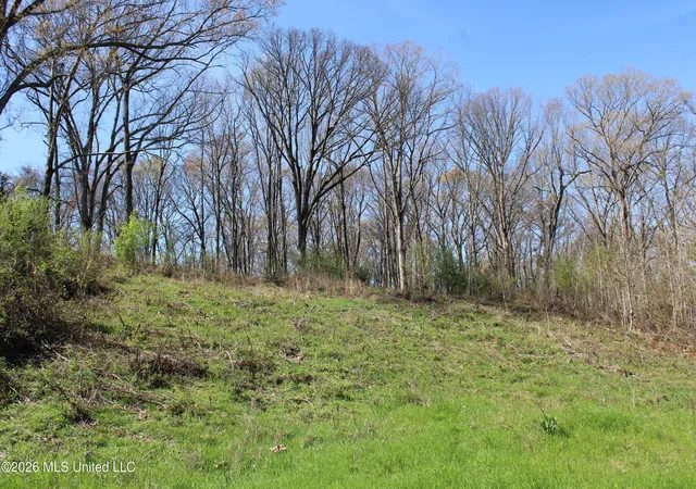 Photo 3 of Land for sale at 12 Barton Desoto Rd, Olive Branch, MS 38654 | MLS# 4142979 | Listing updated on 2026-09-02