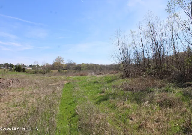 Photo 4 of Land for sale at 12 Barton Desoto Rd, Olive Branch, MS 38654 | MLS# 4142979 | Listing updated on 2026-09-02